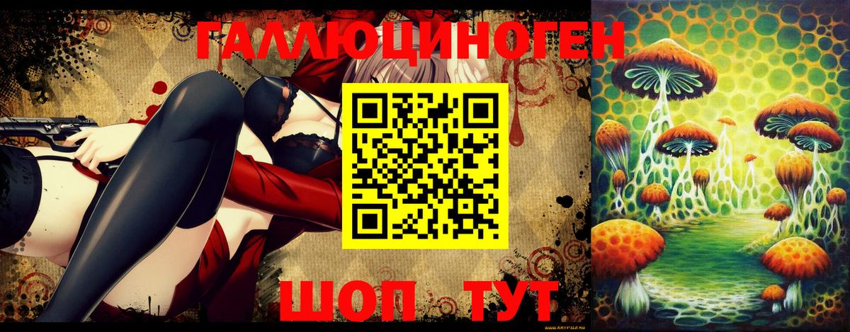 Галлюциногенные грибы GOLDEN TEACHER  Псилоцибиновые грибы Magic Shrooms  Вход с VPN  Горячий Ключ 
