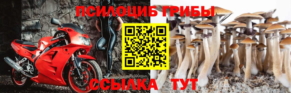 Галлюциногенные грибы мухоморы Горячий Ключ
